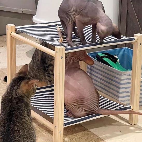 hamac pour chat superposé bois