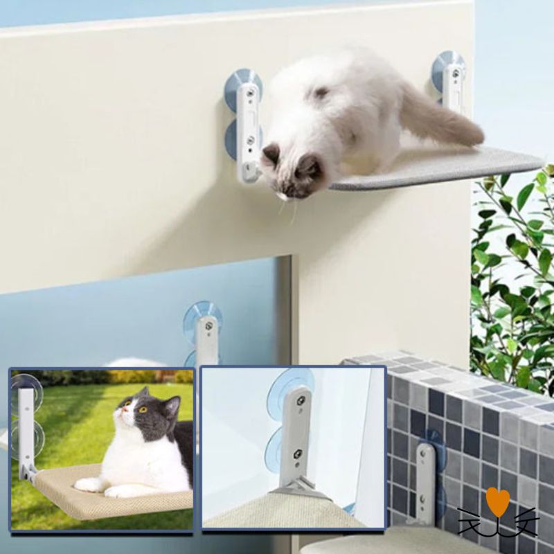 hamac pour chat ventouse