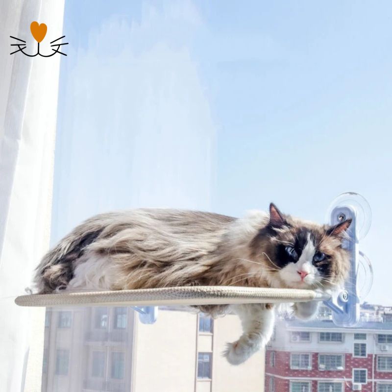 hamac pour chat fenêtre