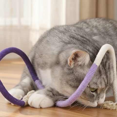 jouet-pour-chat-corde-herbe-a-chat