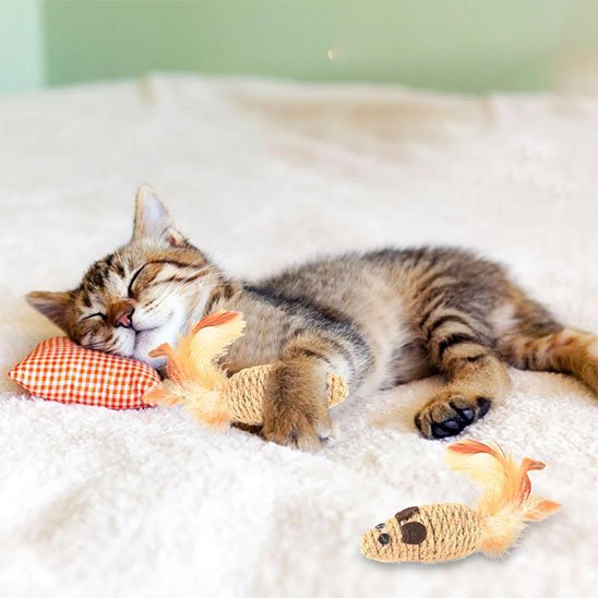 Jouet pour Chat souris proie