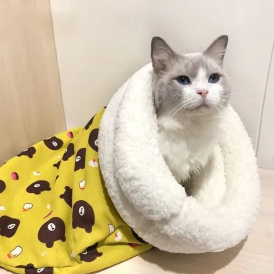 lit-pour-chat-moelleux