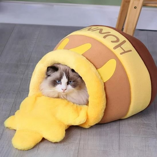 Lit pour chat pot de miel spacieux