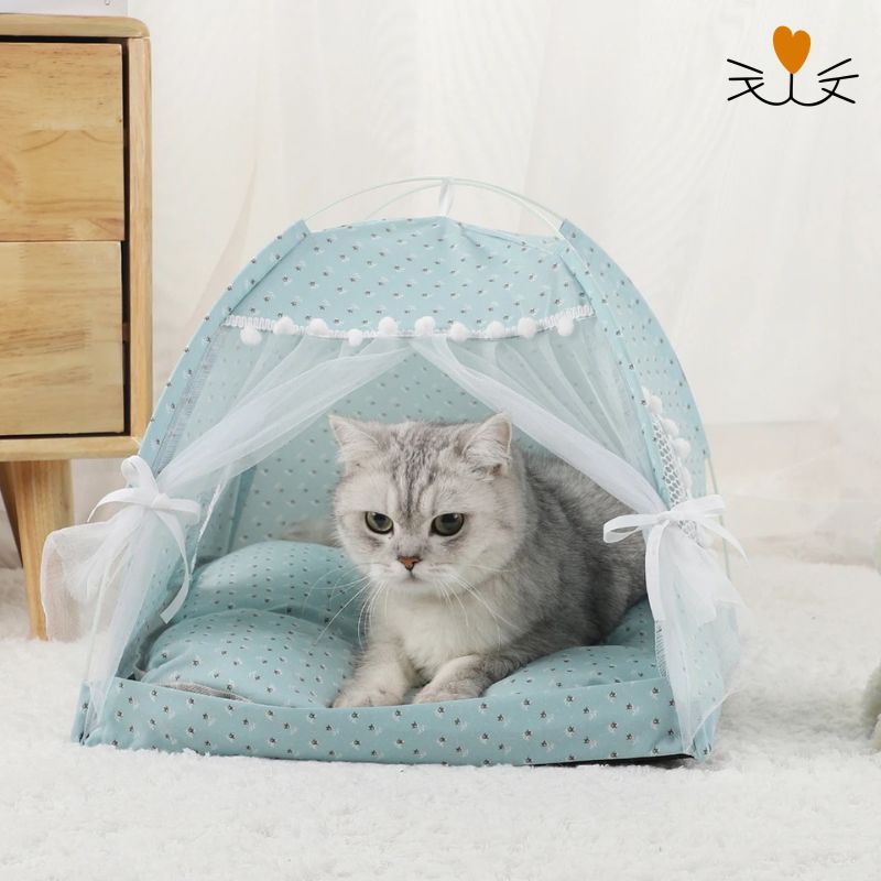 lit pour chat tente bleu