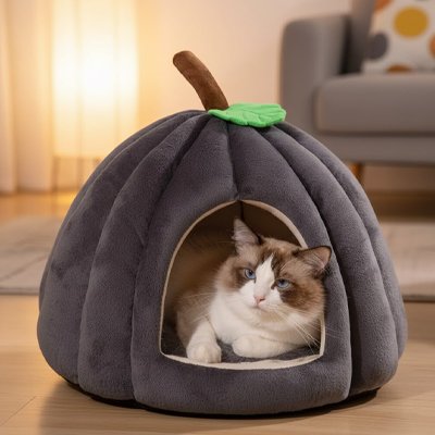 Panier chat citrouille gris