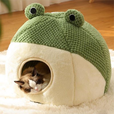 Panier chat grenouille