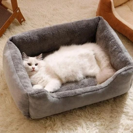 Panier chat moelleux confort