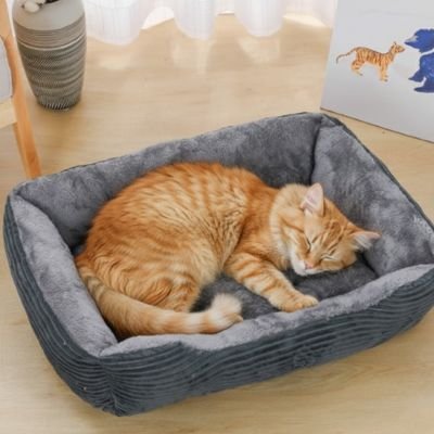 Panier chat moelleux