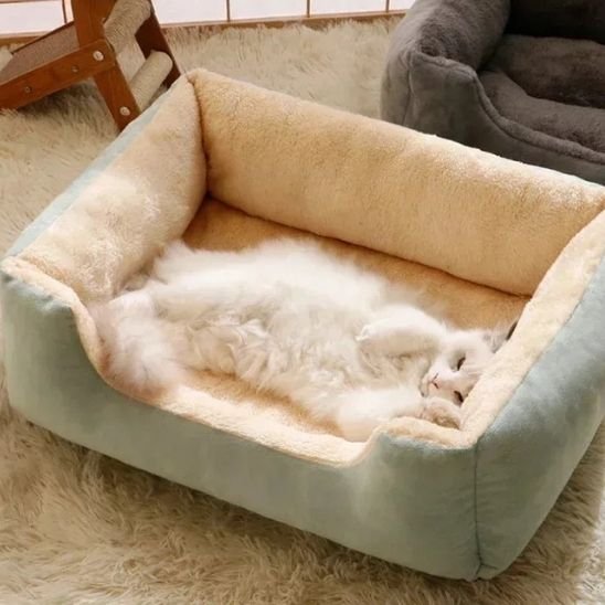 Panier chat moelleux vert 