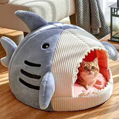 panier-chat-requin-bleu