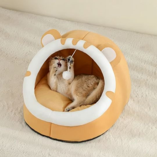 Panier chat tigre orange