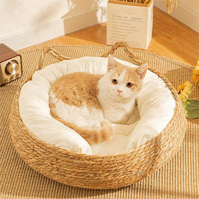 panier-pour-chat-en-osier-confort