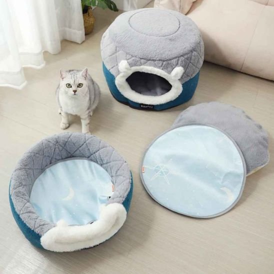 panier chat moelleux