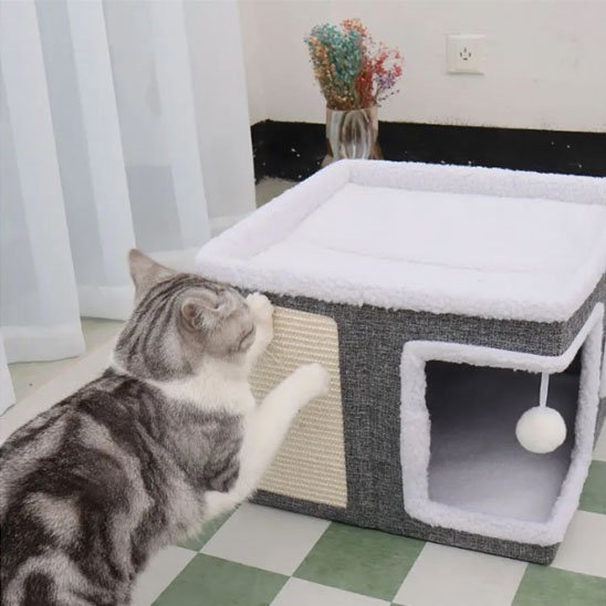 petite Maison pour chat griffoir