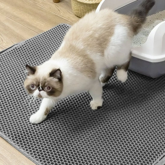 tapis-litiere-chat-pratique