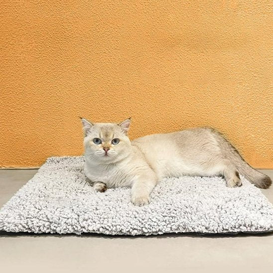 tapis-rafraichissant-chat-doux