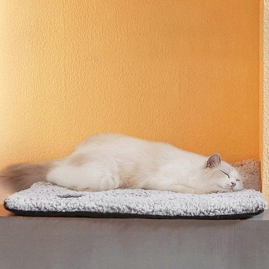 tapis-rafraichissant-chat-moelleux