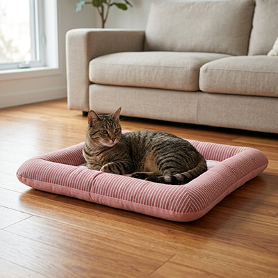 FreshNest™ – Tapis Rafraichissant Chat