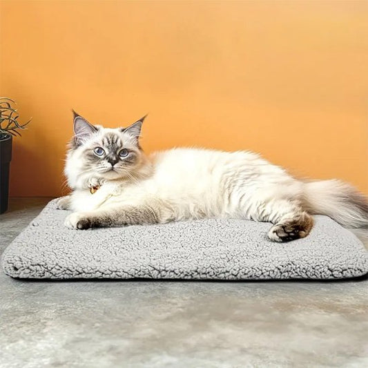 tapis-rafraichissant-chat